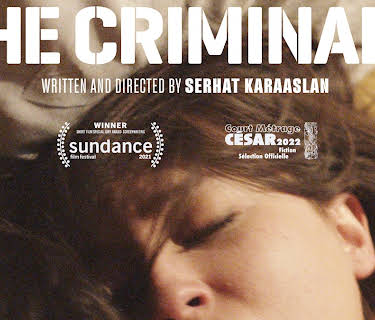 The Criminals (2020)