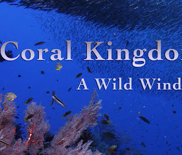 Coral Kingdoms (2009)