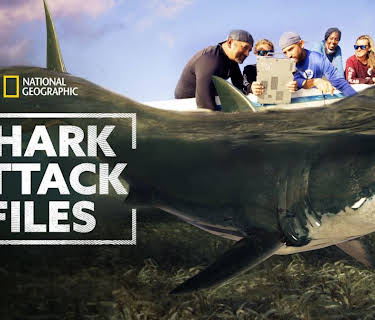Shark Attack Files