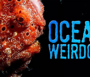 Ocean Weirdos (2004)