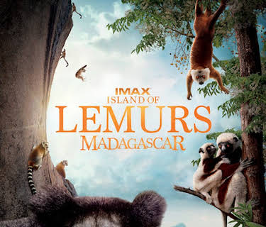 Island of Lemurs - Madagascar (2014)