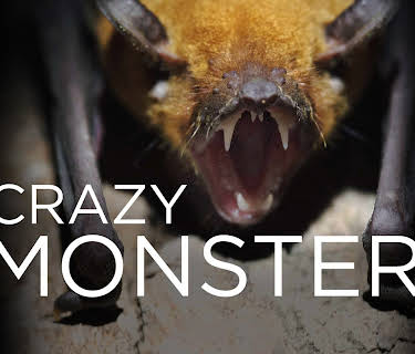 Crazy Monster
