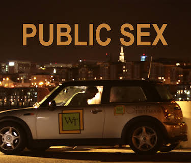 Public Sex (2009)