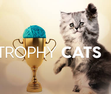 Trophy Cats