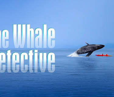 The Whale Detective (2020)