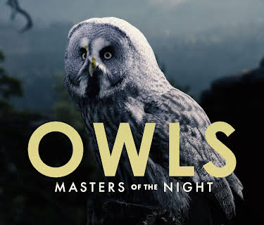 Owls: Masters of the Night (2020)