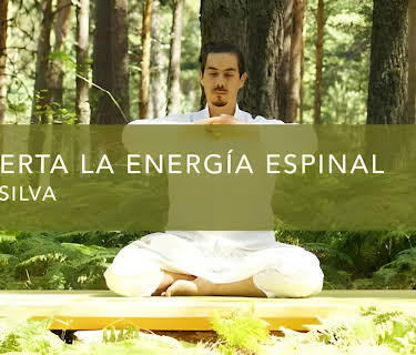 Despierta la energía espinal (2016)