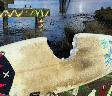 Wrath of a Great White Serial Killer