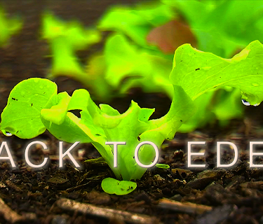 Back to Eden Film (2011)