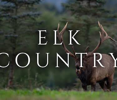 Elk Country (2025)