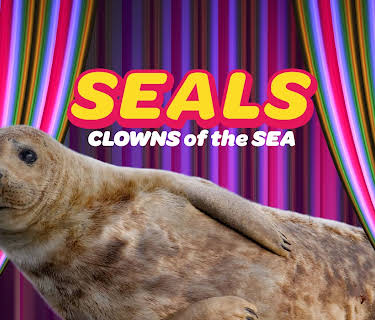 Seals Clowns of the Sea (2022)