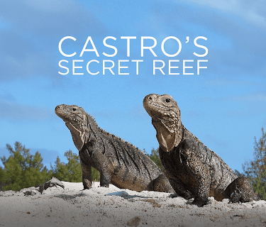 Castro's Secret Reef (2017)