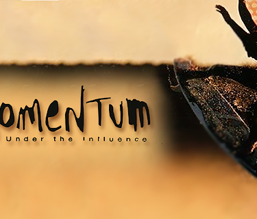 Momentum: Under the Influence (2001)