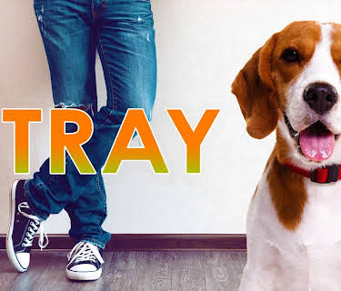 The Stray (2012)