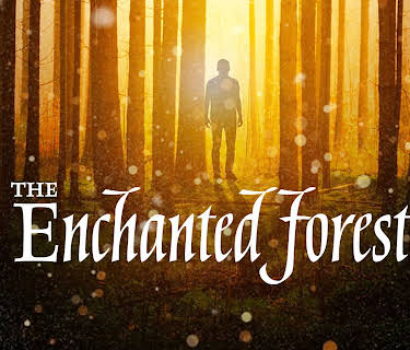The Enchanted Forest (2020)