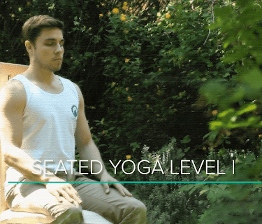 Seated Yoga Level I 13 minutes