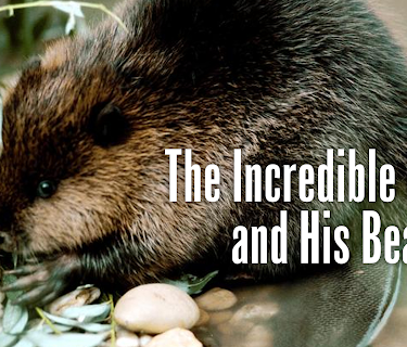The Incredible Hulik and His Beavers (2002)