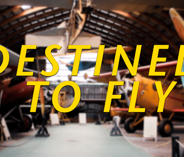 Destined To Fly (2017)
