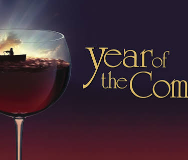 Year of the Comet (1992)