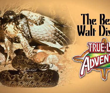 The Best Of Walt Disney's True-Life Adventures (1975)