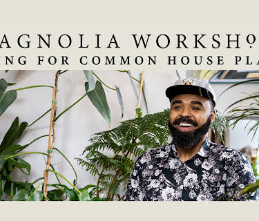 Magnolia Workshops: Caring For Common Houseplants