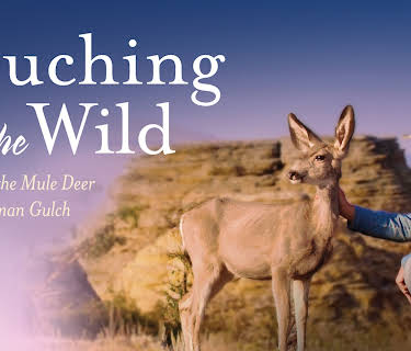 Touching the Wild: Living with the Mule Deer of Deadman Gulch (2014)