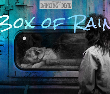 Box of Rain (2022)