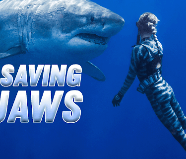 Saving Jaws (2019)