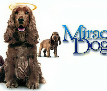 Miracle Dogs Too (2006)