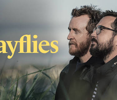Mayflies