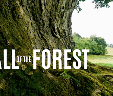 Call of the Forest: The Forgotten Wisdom of Trees (2016)