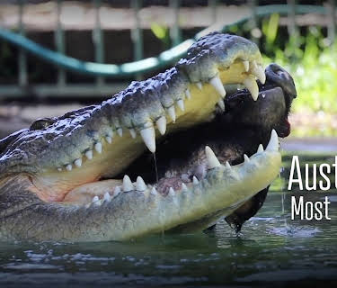 Australia's Most Terrifying