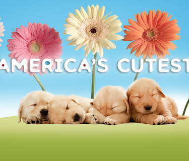 America's Cutest Dog Season 1