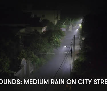Zen Sounds: Medium Rain on City Street (2023)