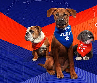 Road to Puppy Bowl