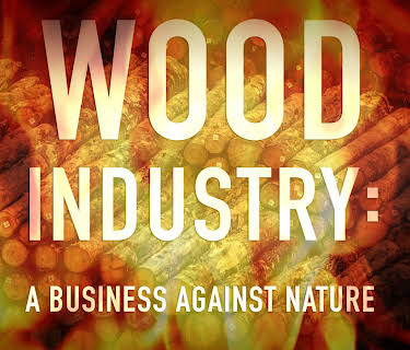 Wood Industry: A Business Against Nature (2017)