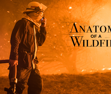 Anatomy Of A Wildfire