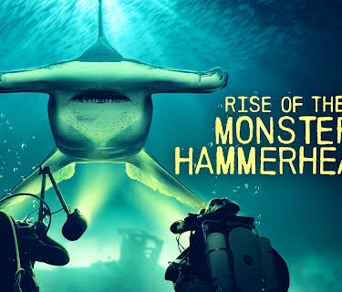 Rise of the Monster Hammerheads