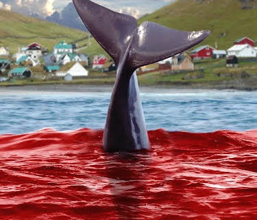 A Taste of Whale (2022)