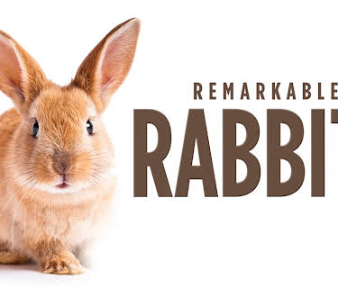Remarkable Rabbits (1982)
