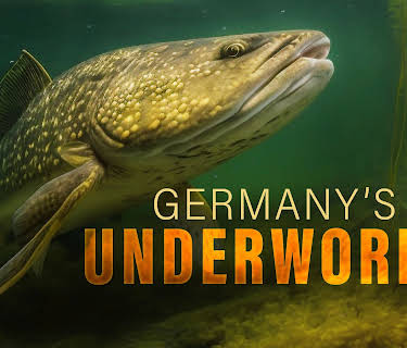 Germanys Underworld