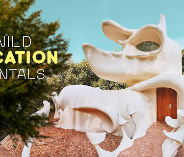 Wild Vacation Rentals