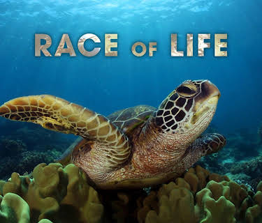 Race of Life