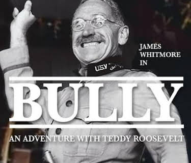 Bully: An Adventure with Teddy Roosevelt (1978)