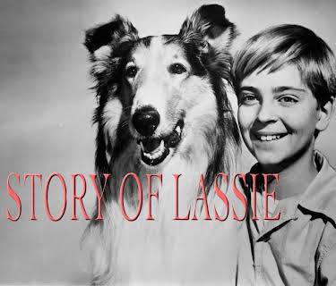 The Hollywood Collection: The Story of Lassie (2009)