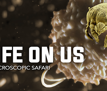 Life on Us: A Microscopic Safari (2014)