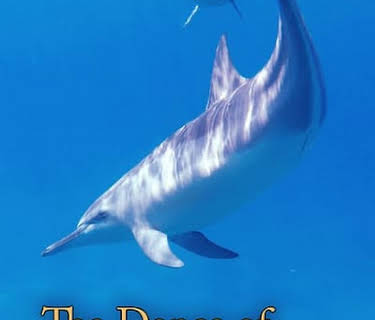 The Dance of the Free Dolphins: A Journey Into the Blue (2023)