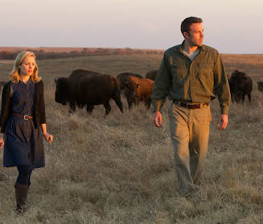 To the Wonder (2013)