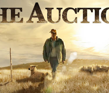The Auction (2014)