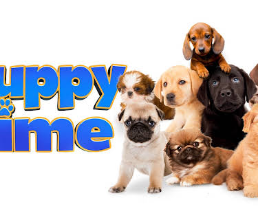 Puppy Time (2019)